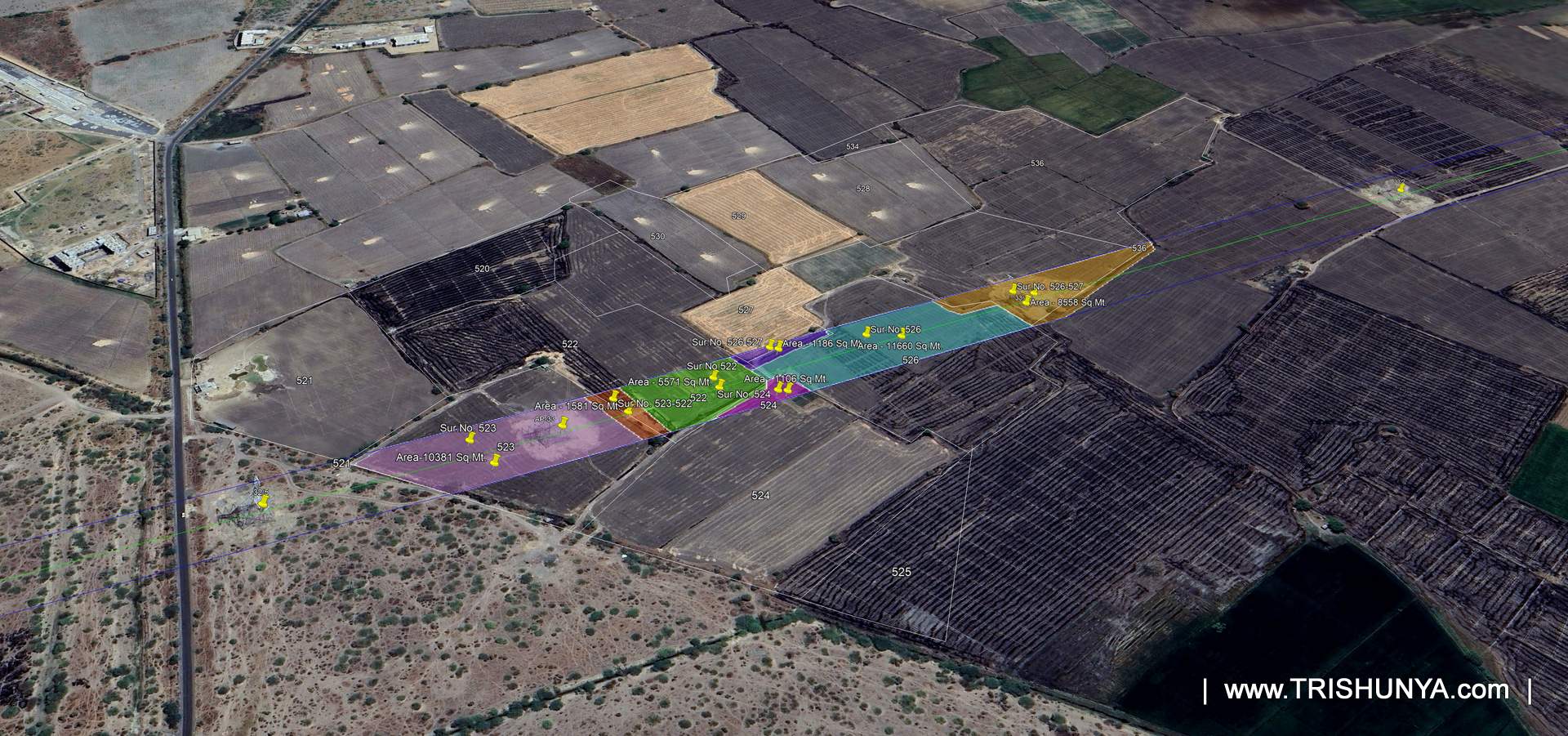 KMZ screenshot showing survey number wise land parcels overlapped by transmission line corridor, part 2