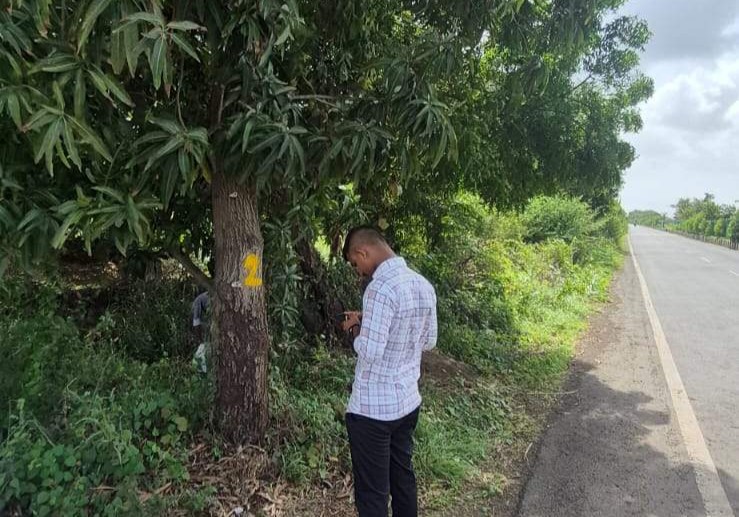 Field surveyor recording tree GPS location, girth and height data on a mobile app after paint marking